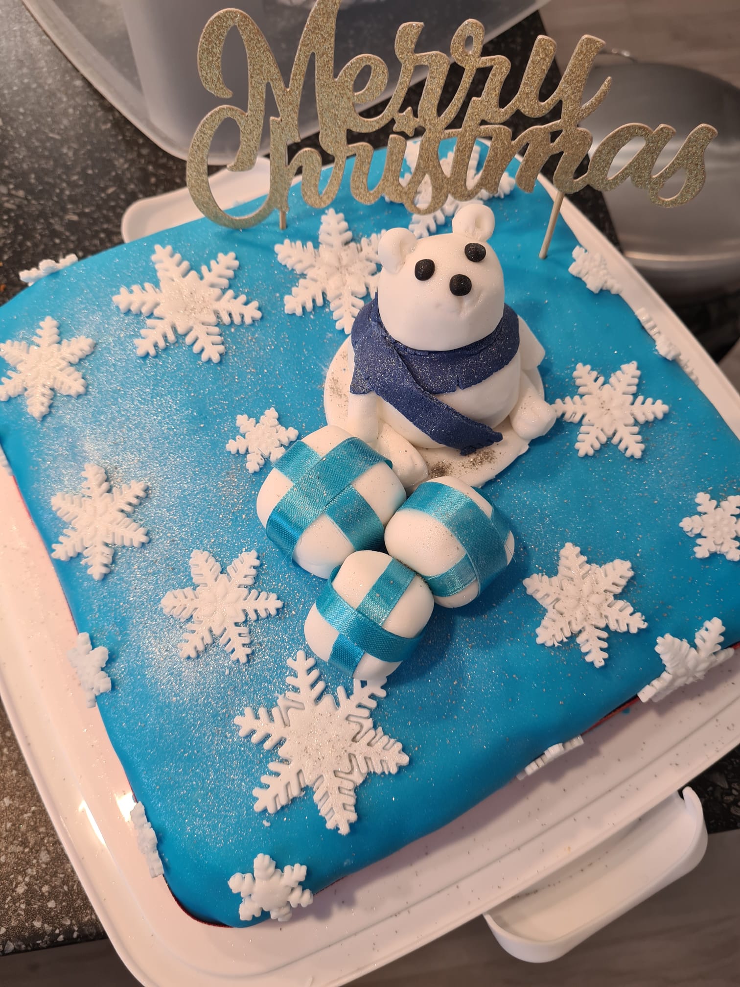 Winter Xmas Cake